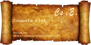 Csepela Elek névjegykártya